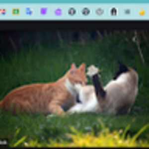 Meet your Posher, Alicia